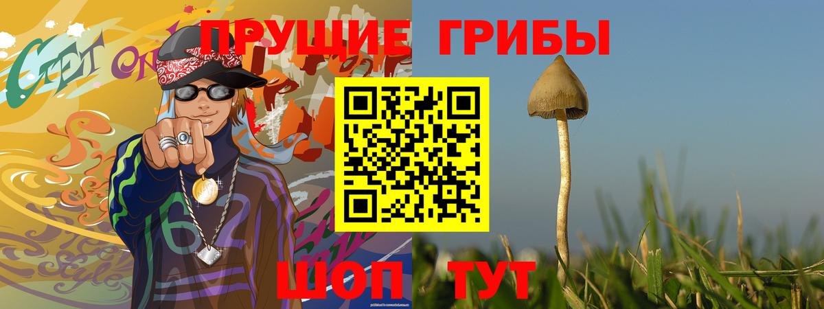 Галлюциногенные грибы Psilocybe  Вход с VPN  Белово  Галлюциногенные грибы мухоморы 