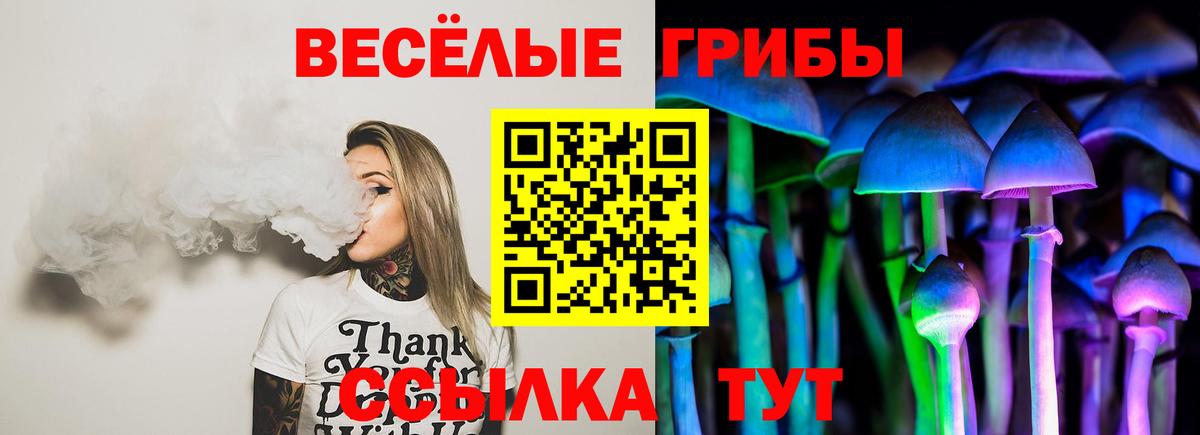 Галлюциногенные грибы ЛСД Белово